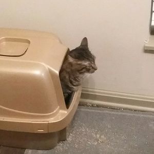 Meet your Posher, Kay